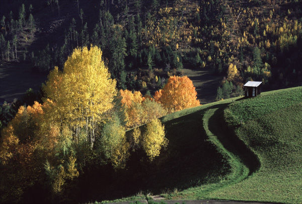 Alpine Autumn.